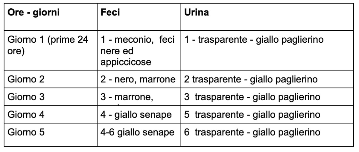 cacca-neonati-schema